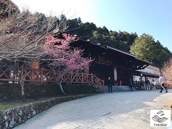 阿里山