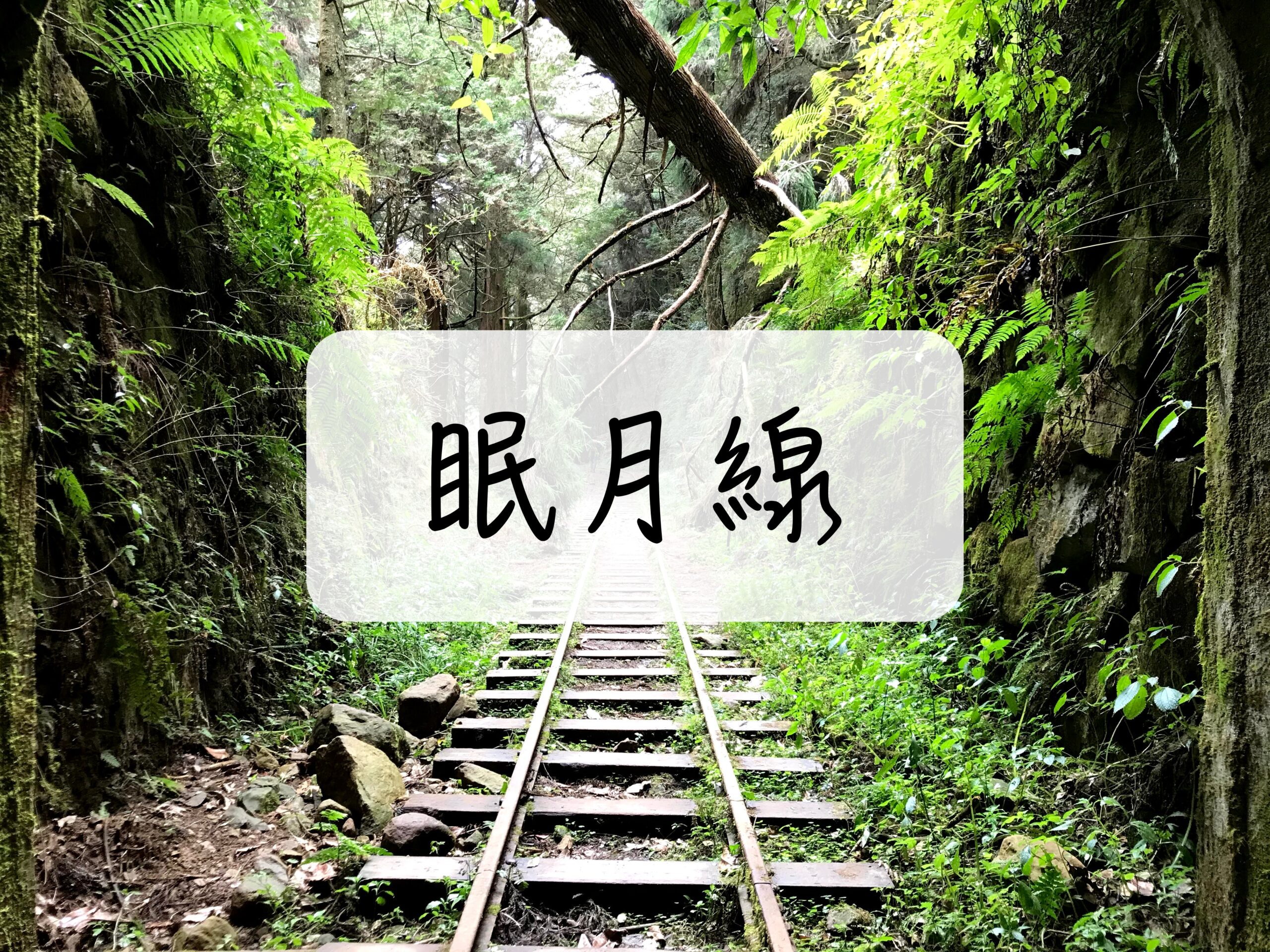 [登山｜嘉義] 阿里山眠月線兩天一夜 ~ 消失的鐵道