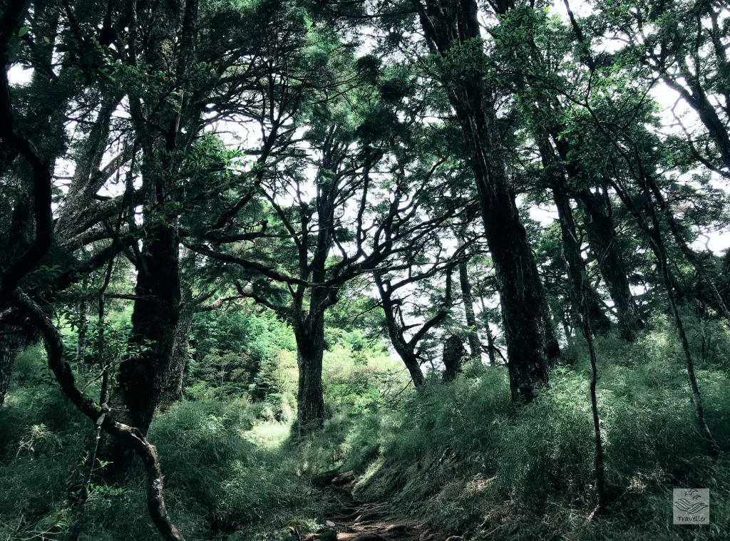 塔關山