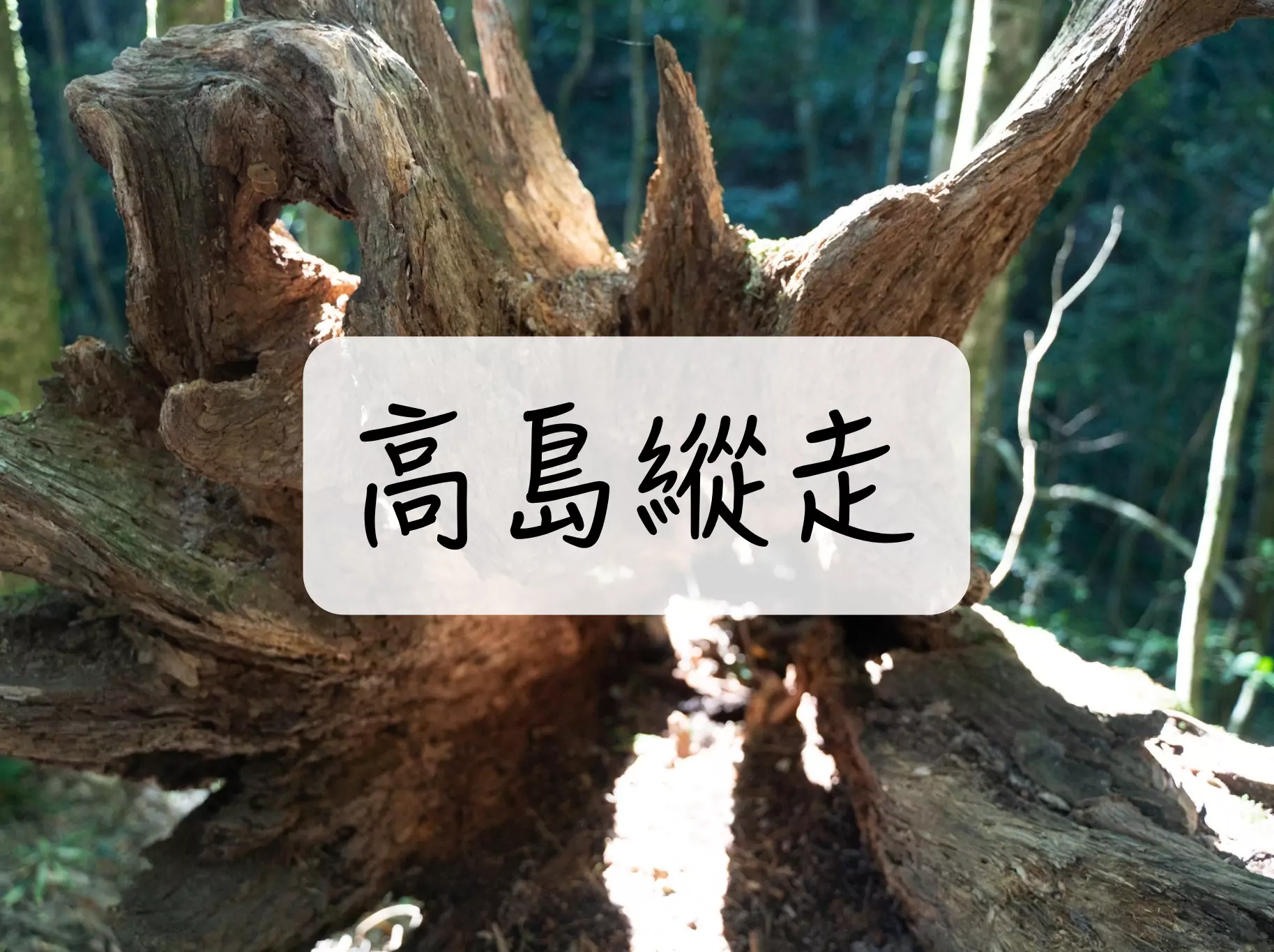 [ 登山｜新竹 ] 高島縱走～高台山、小島、中島、大島田山