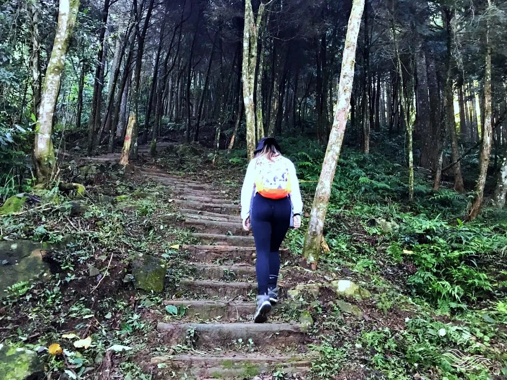 加里山 大坪登山口