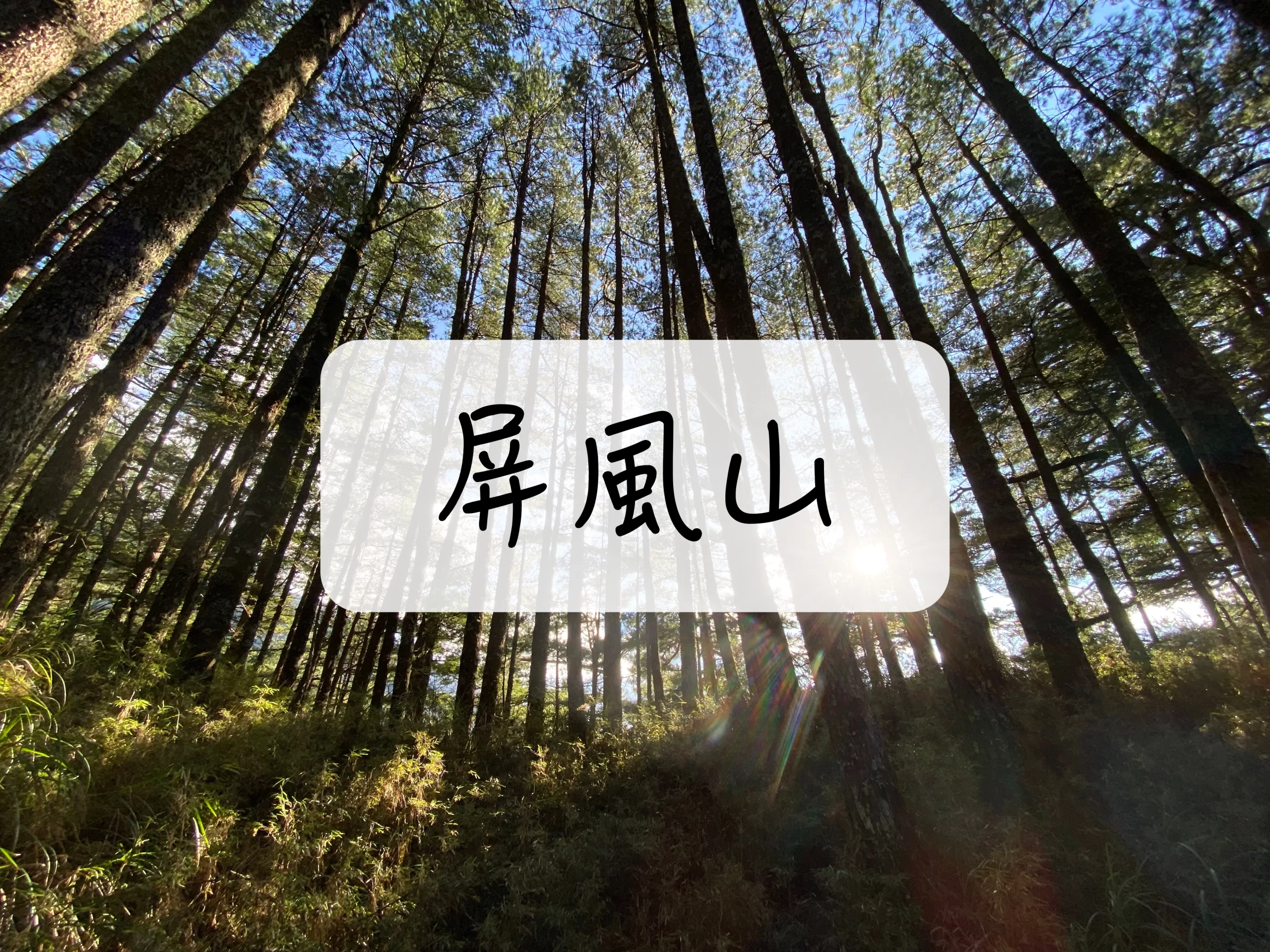 [登山｜台中] 屏風山2天1夜～中橫四辣大辣等級！！新山屋開幕瞜!