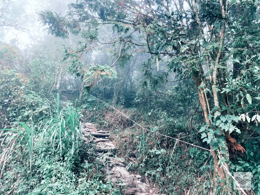 北大武山 登山口