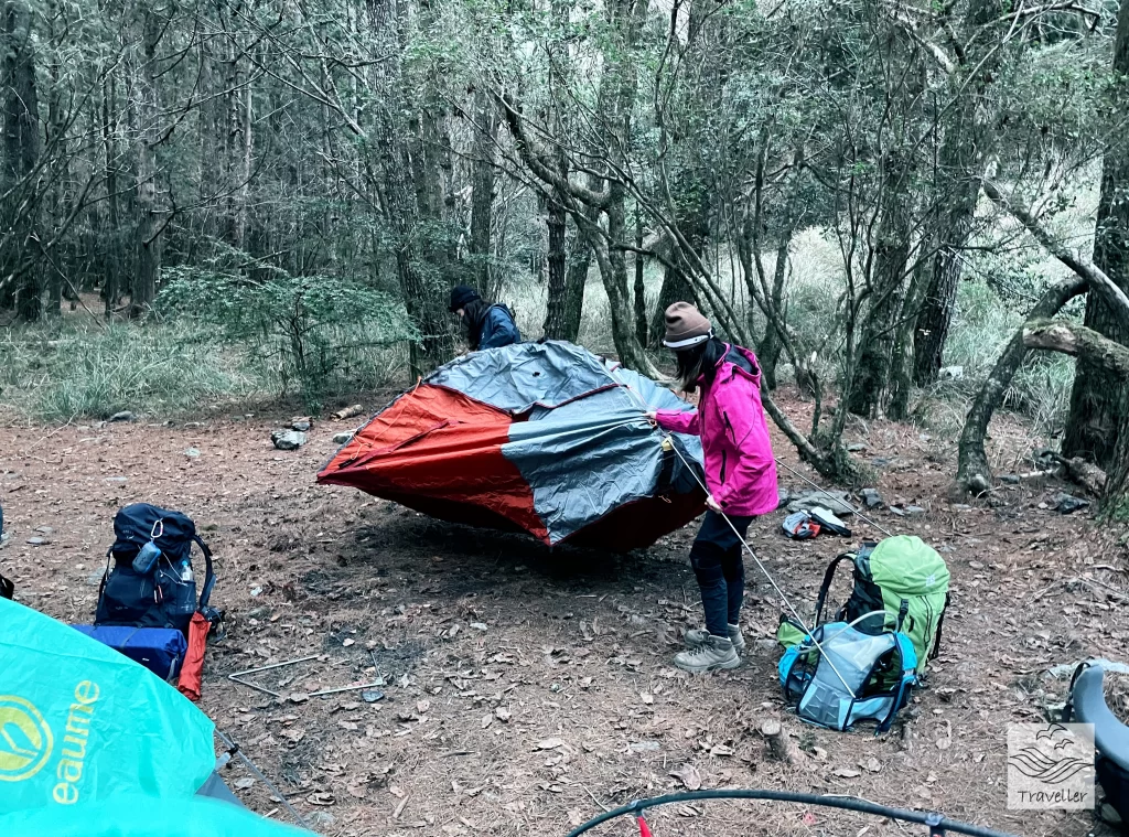 屏風山 松針營地