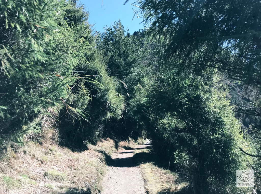 玉山