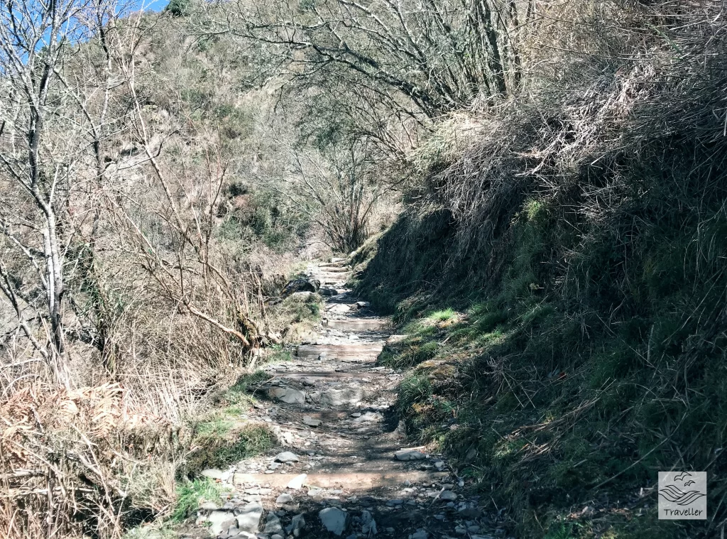 玉山