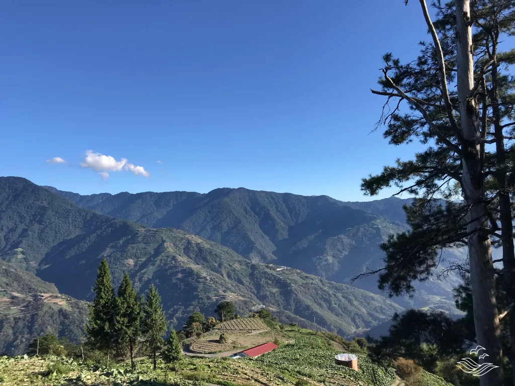 白姑大山