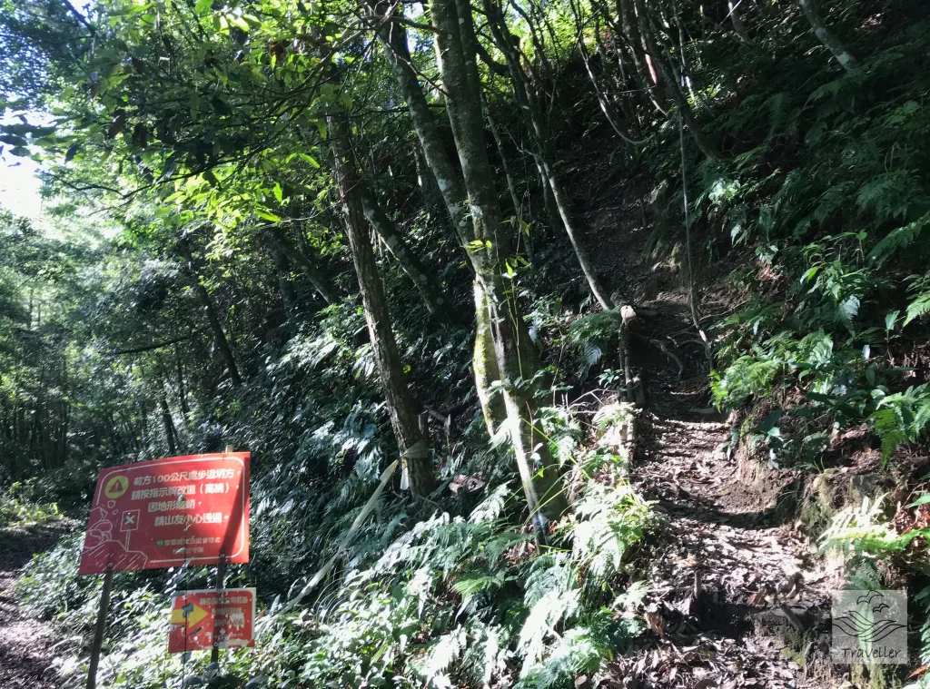 松茂林道