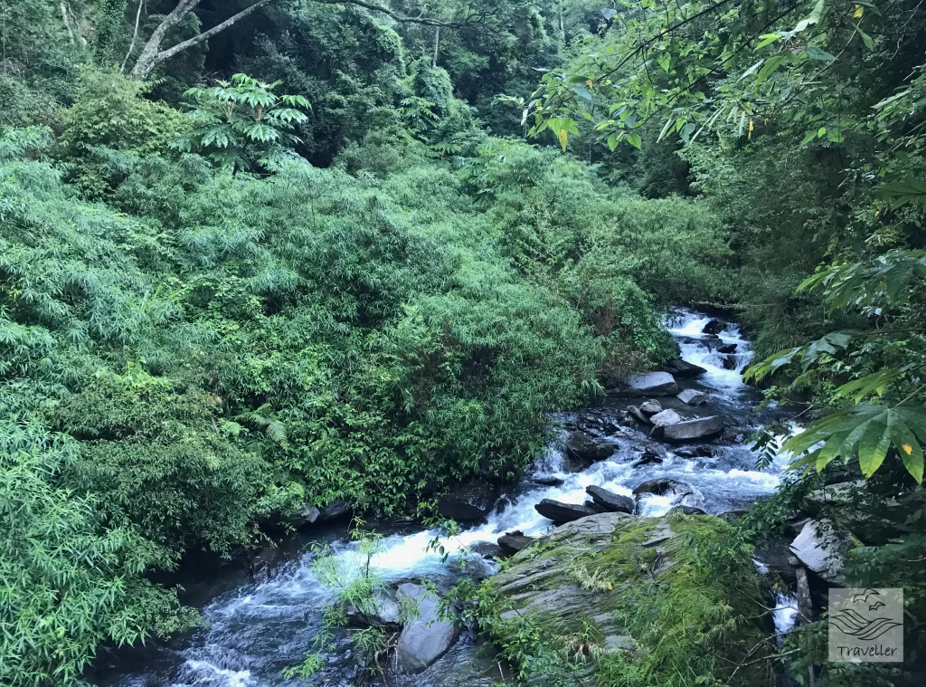 松茂林道