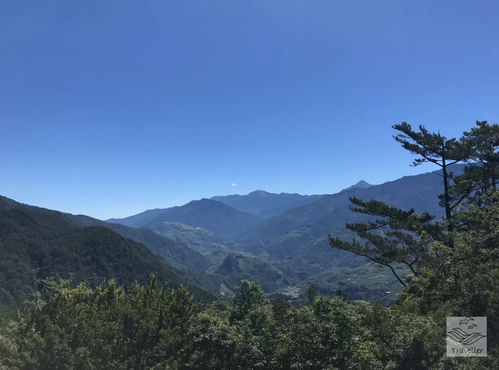 梨山