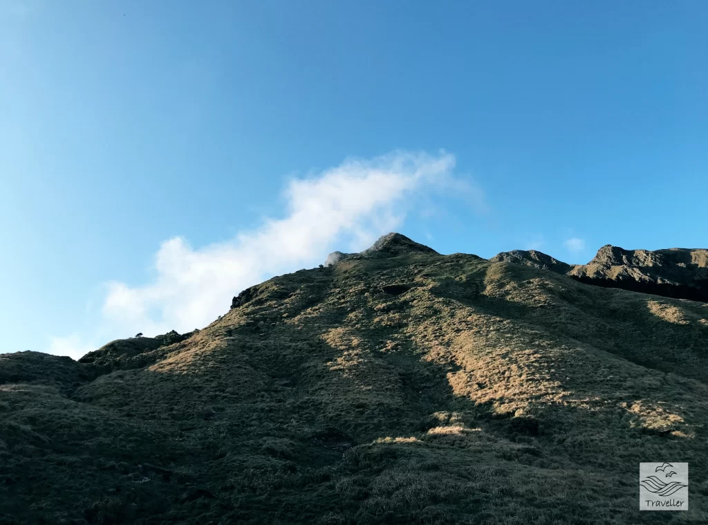 能高安東軍 能高南峰