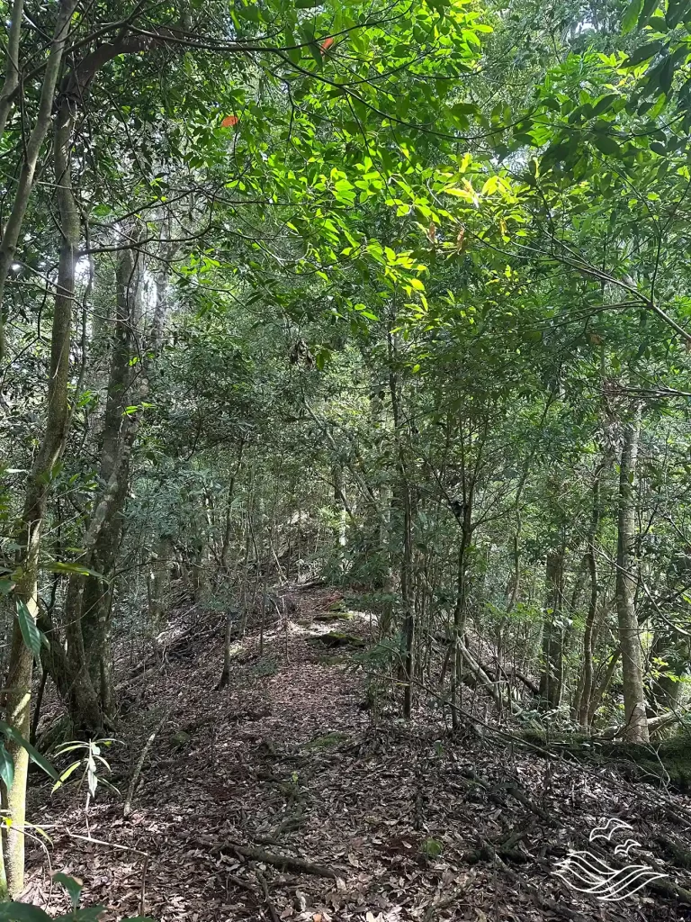 迷路