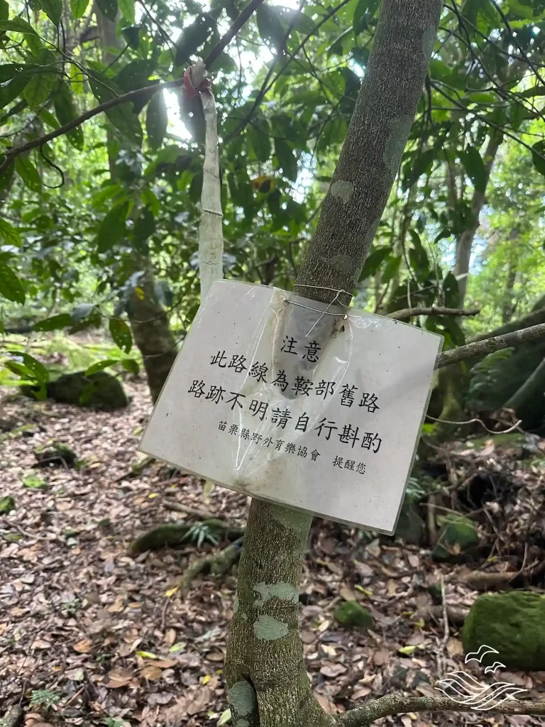 迷路 指示牌