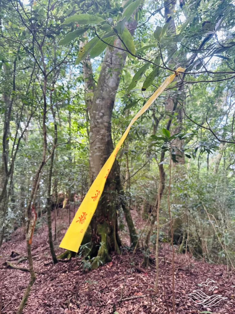 布條