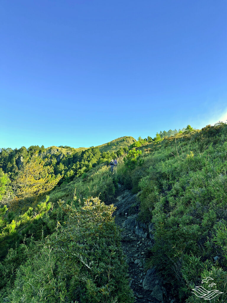 前往桃山的路上