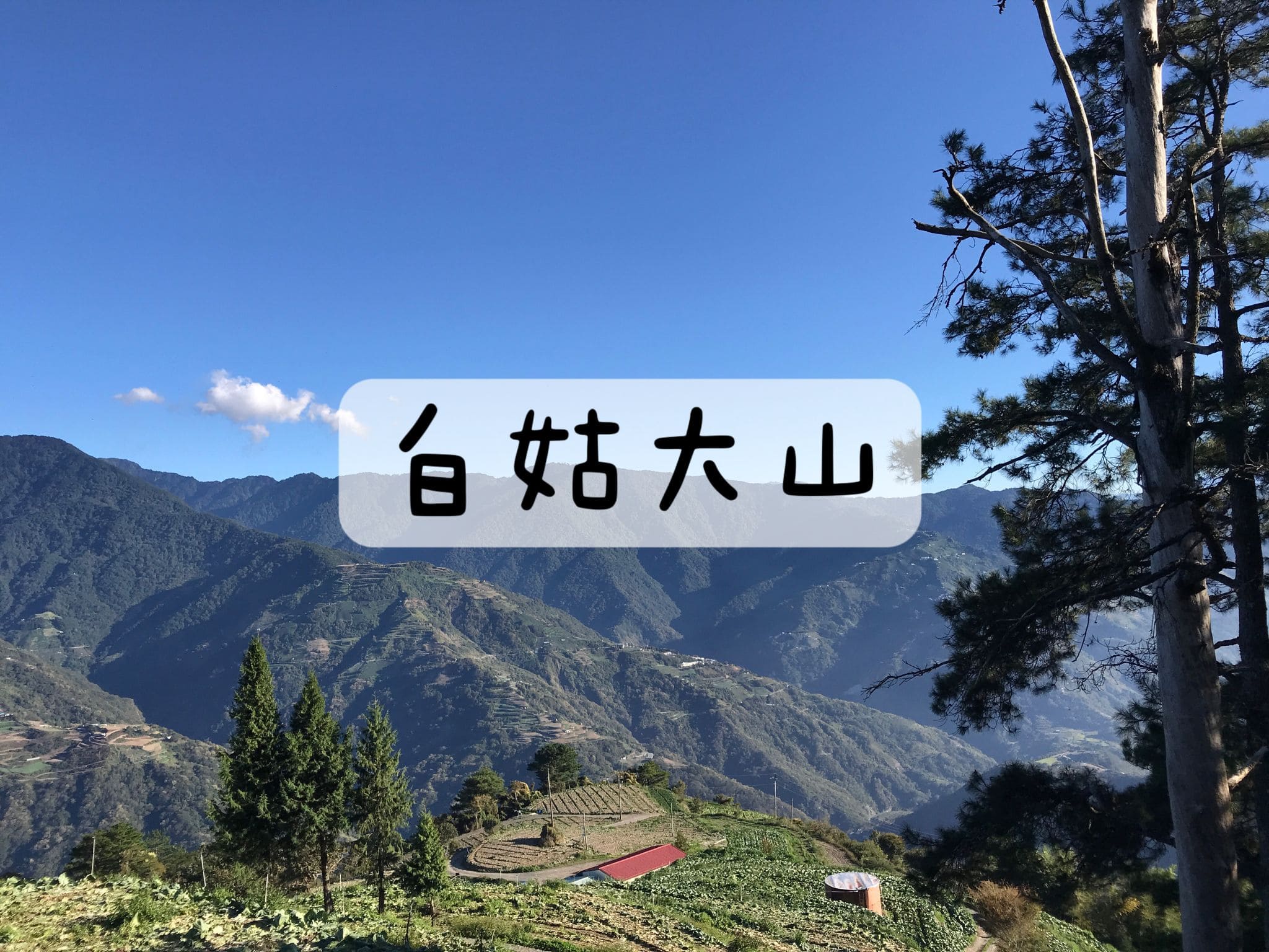 [登山｜台中] 白姑大山單攻~一個人挑戰中橫四辣
