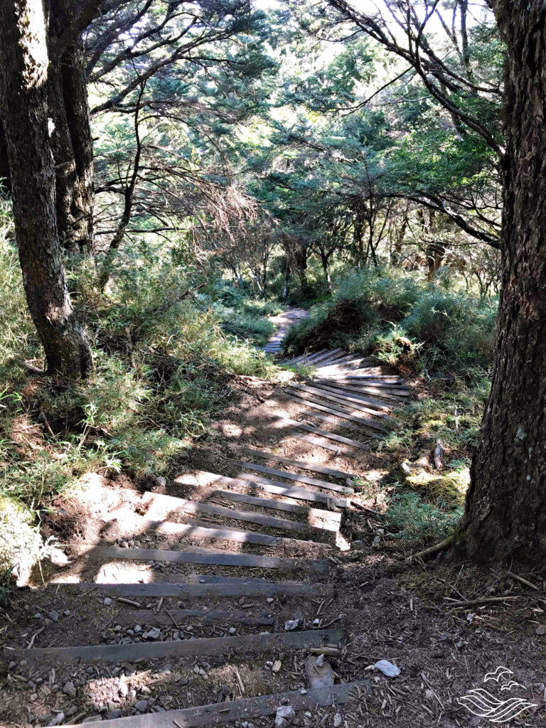 關山 三千階梯