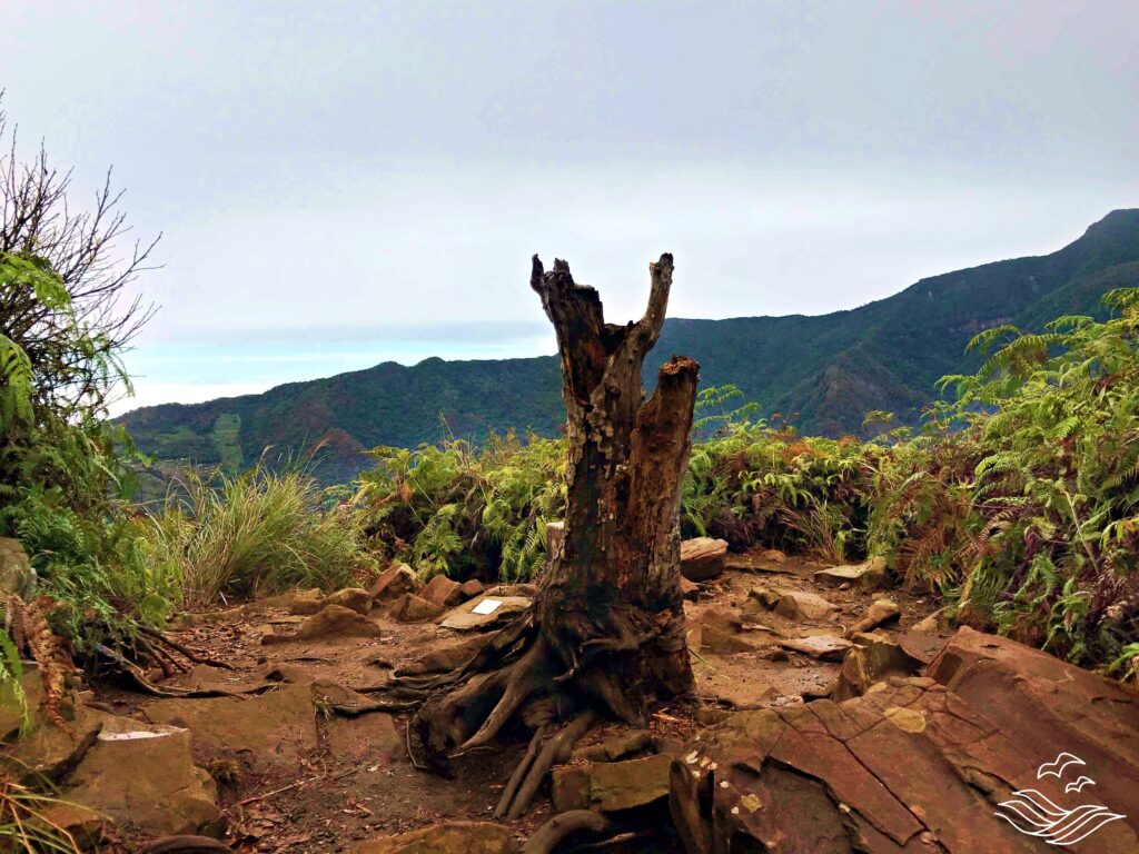 鳥嘴山