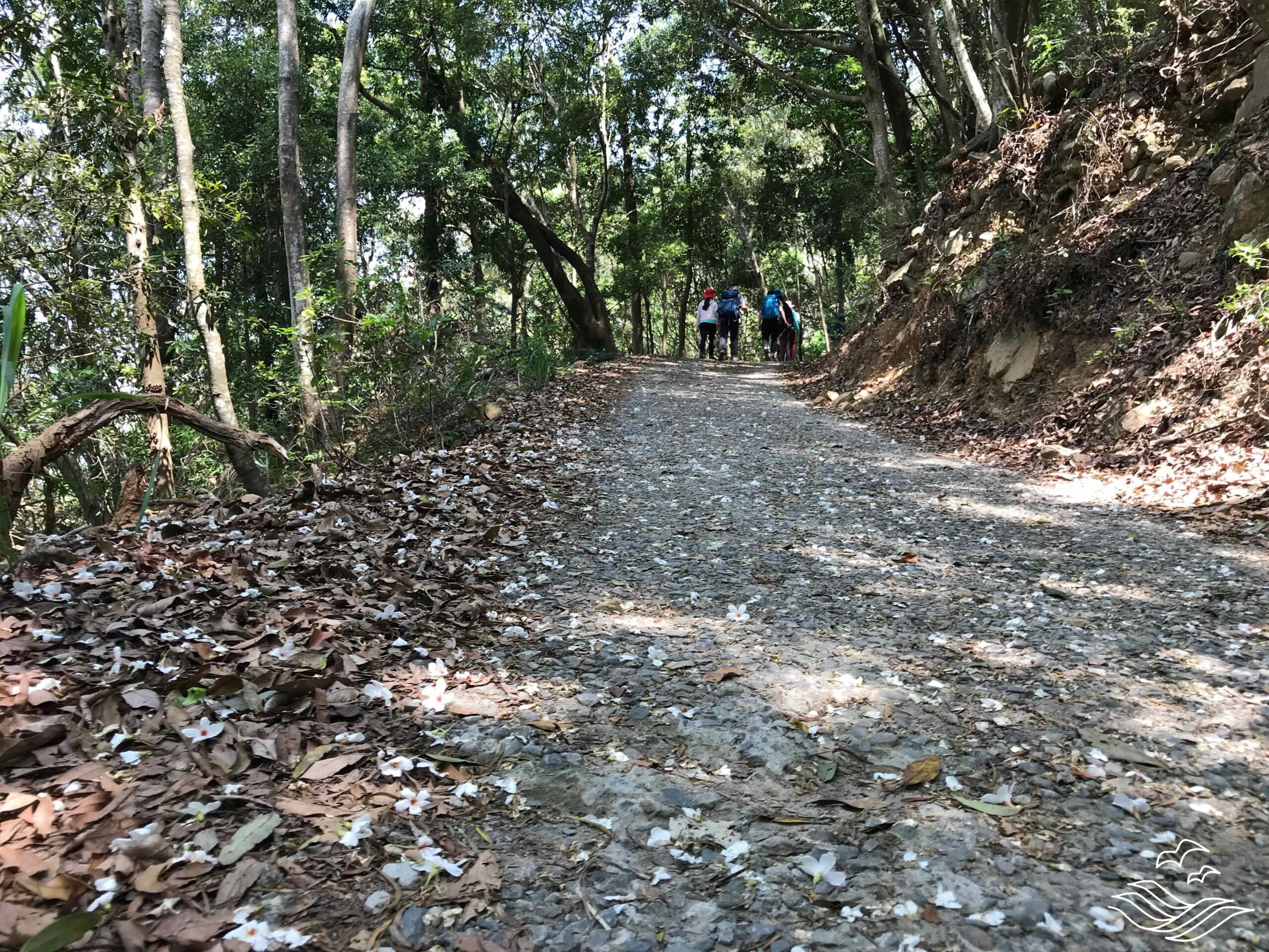 谷關七雄 東卯山