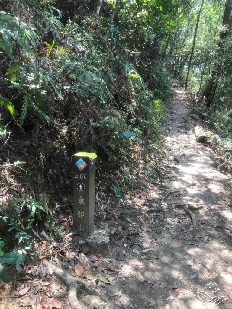 谷關七雄 東卯山