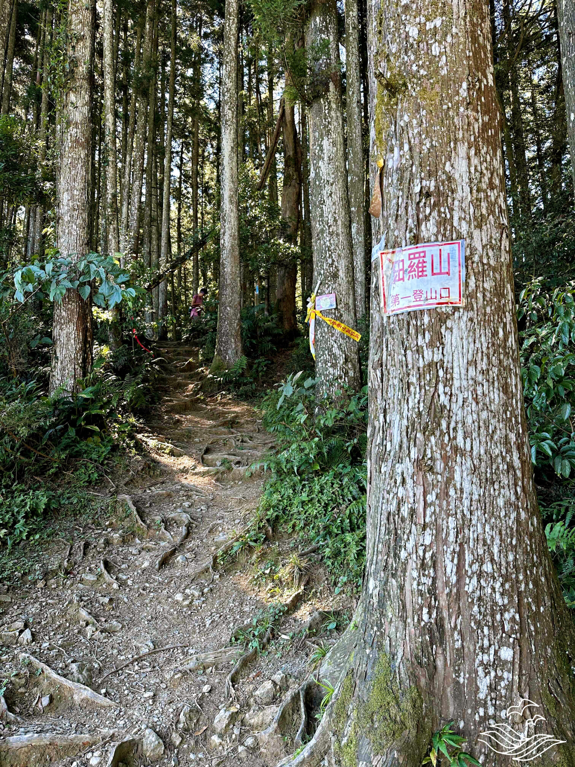 油羅山 第一登山口