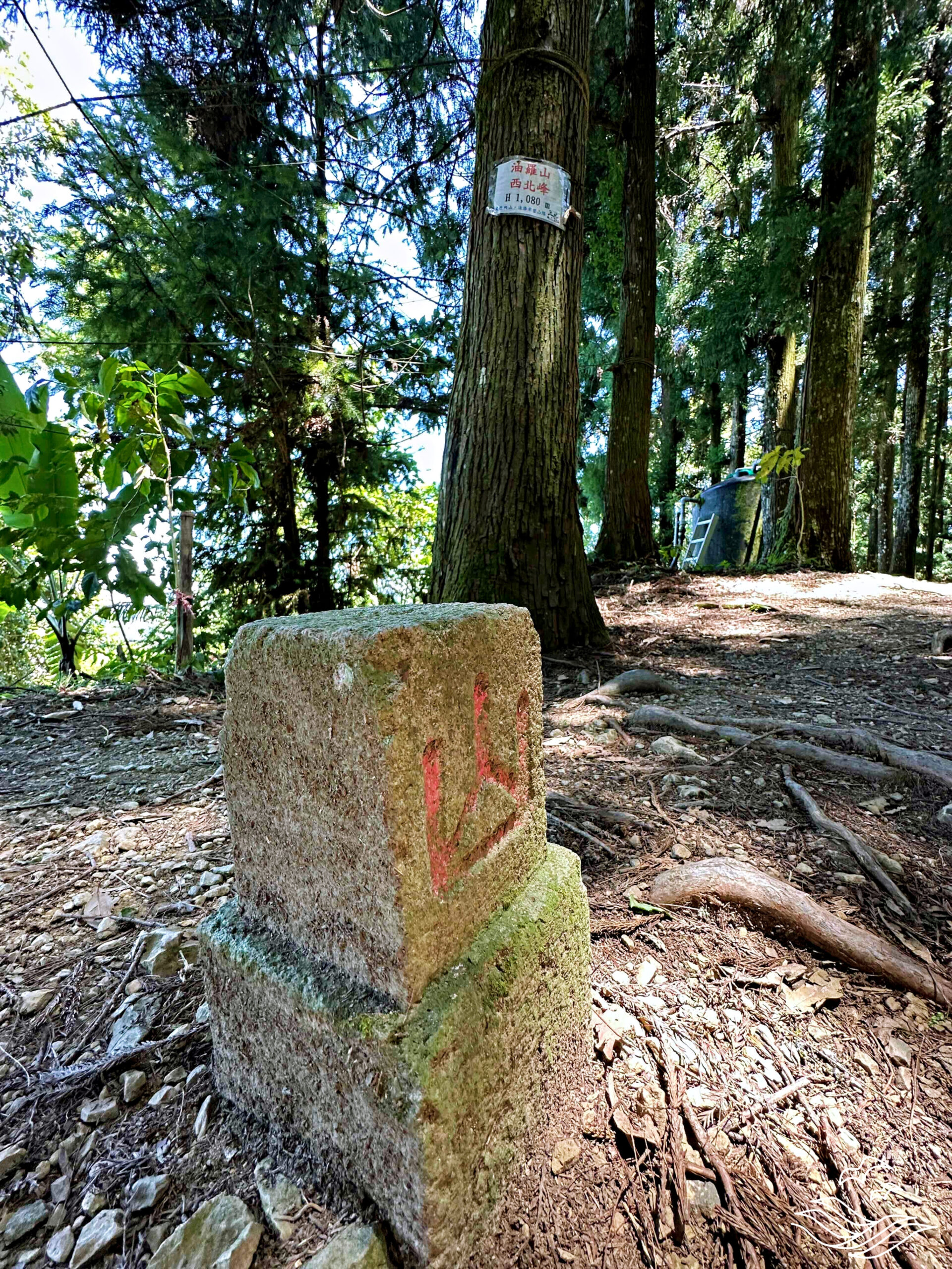 油羅山 西北峰