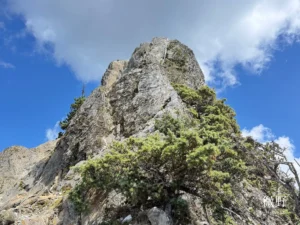 馬利加南山