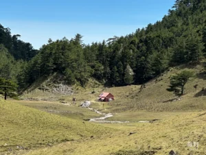 馬布谷山屋
